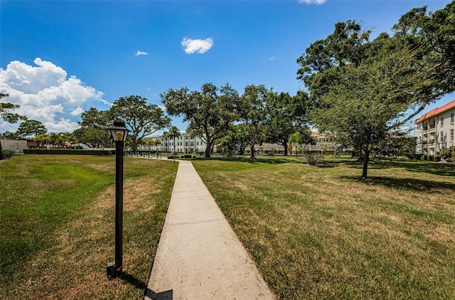 2700 Bayshore Blvd Unit 2110, Dunedin, FL 34698 - view of green lawn