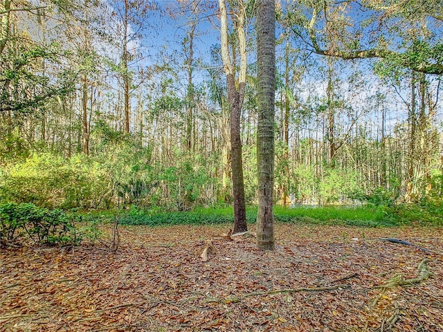 view of tree filled area