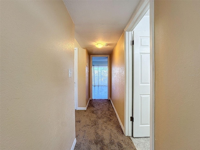 9201 Tudor Dr Unit C212, Tampa, FL 33615 - hallway featuring carpet floors, a textured wall, and baseboards