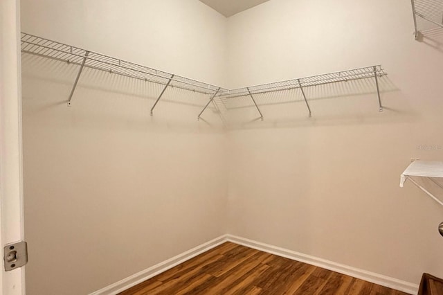 4207 S Dale Mabry Hwy Unit 9106, Tampa, FL 33611 - photo 14