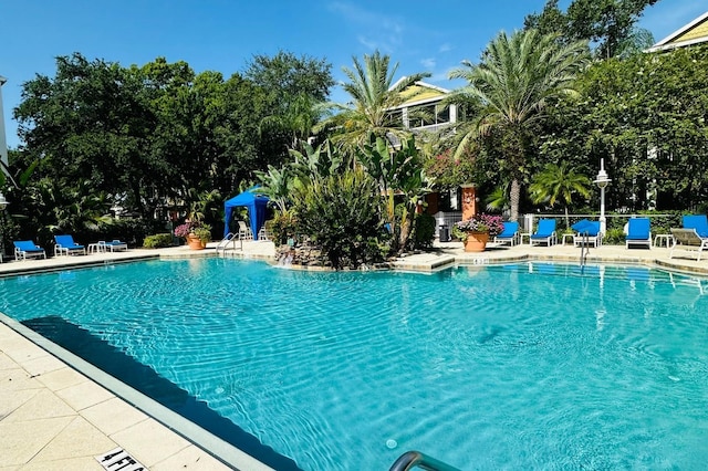 4207 S Dale Mabry Hwy Unit 9106, Tampa, FL 33611 - photo 19