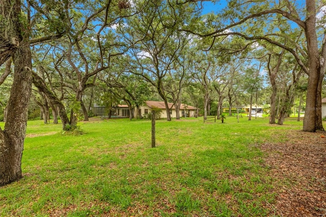 56 Bay Woods Dr, Safety Harbor, FL 34695 - view of grassy yard