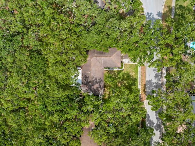 56 Bay Woods Dr, Safety Harbor, FL 34695 - aerial view