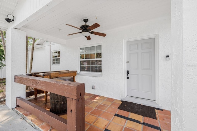 3310 W Ballast Point Blvd, Tampa, FL 33611 - doorway to property featuring stucco siding and a ceiling fan