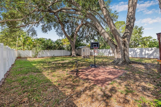 3310 W Ballast Point Blvd, Tampa, FL 33611 - view of yard