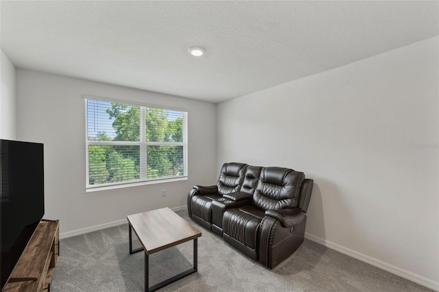 3739 Capri Coast Dr, Plant City, FL 33565 - carpeted living room with baseboards
