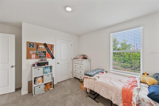 3739 Capri Coast Dr, Plant City, FL 33565 - bedroom featuring carpet flooring