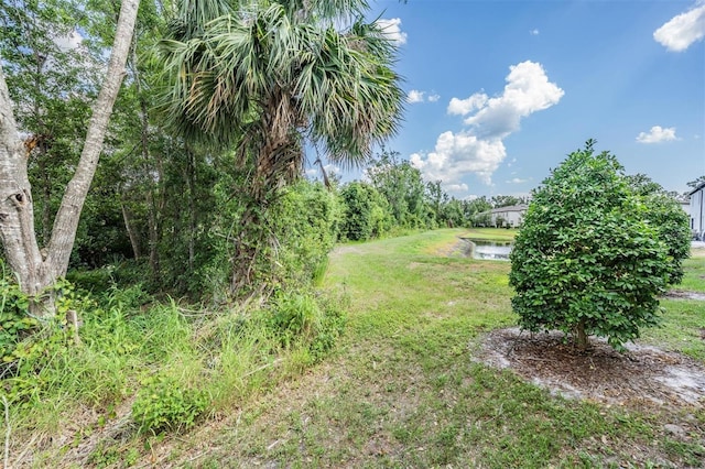 1396 White Fox Run, Lutz, FL 33549 - view of green lawn
