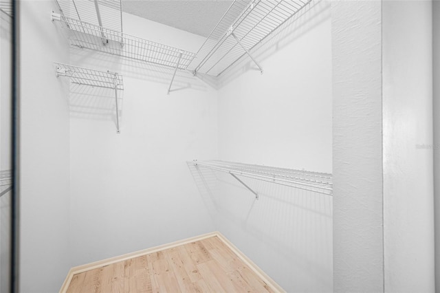 3447 Killdeer Pl, Palm Harbor, FL 34685 - walk in closet with wood finished floors