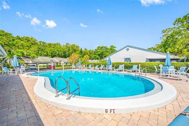 3447 Killdeer Pl, Palm Harbor, FL 34685 - community pool with a patio
