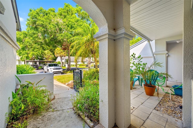 3447 Killdeer Pl, Palm Harbor, FL 34685 - view of porch