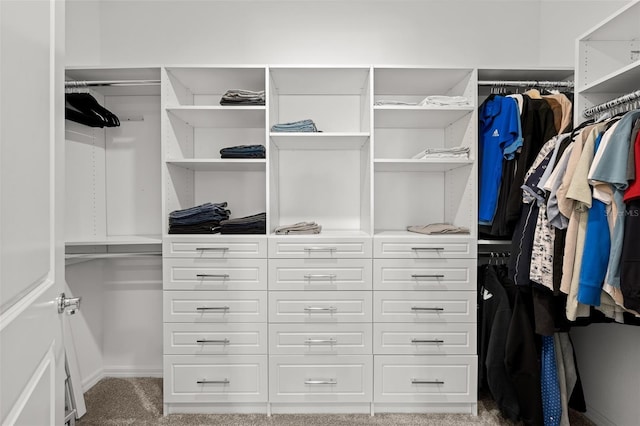 9271 Rally Spring Loop, Wesley Chapel, FL 33545 - walk in closet featuring carpet floors