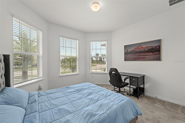 9271 Rally Spring Loop, Wesley Chapel, FL 33545 - bedroom featuring carpet flooring and baseboards