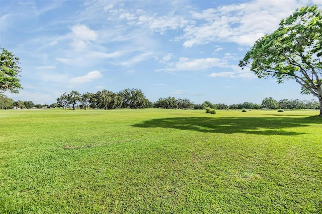 2216 Eagle Bluff Dr, Valrico, FL 33596 - photo 45
