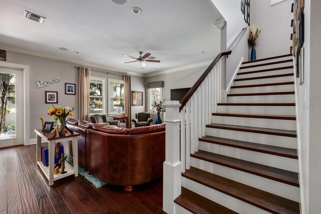 852 Cordova Blvd NE, Saint Petersburg, FL 33704 - photo 21