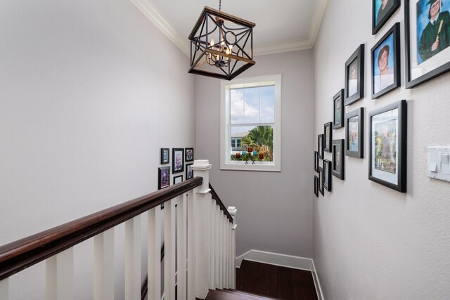 852 Cordova Blvd NE, Saint Petersburg, FL 33704 - photo 22