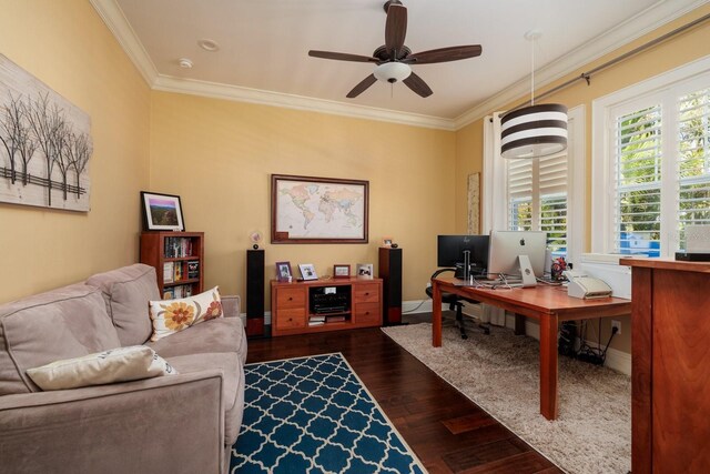 852 Cordova Blvd NE, Saint Petersburg, FL 33704 - photo 31