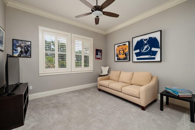 852 Cordova Blvd NE, Saint Petersburg, FL 33704 - photo 33