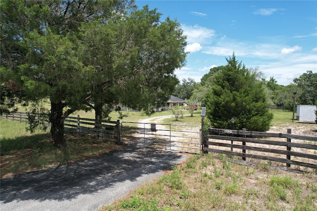 13341 Hexam Rd, Weeki Wachee, FL 34613 - view of asphalt driveway with a gate, a gated entry, and a view of countryside