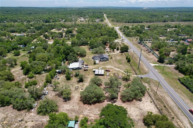 13341 Hexam Rd, Weeki Wachee, FL 34613 - bird's eye view of a heavily wooded area