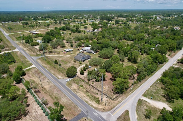 13341 Hexam Rd, Weeki Wachee, FL 34613 - aerial view