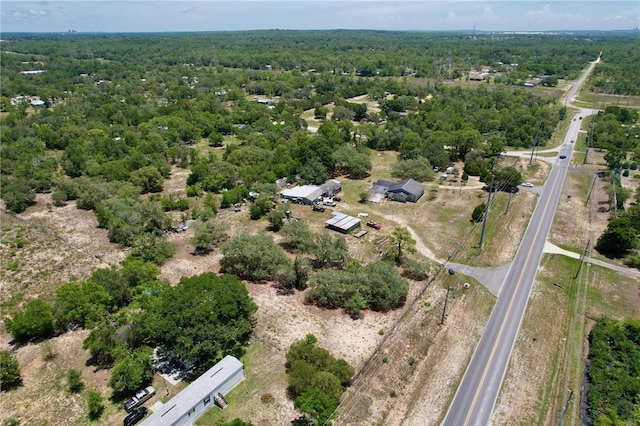 13341 Hexam Rd, Weeki Wachee, FL 34613 - bird's eye view of a forest