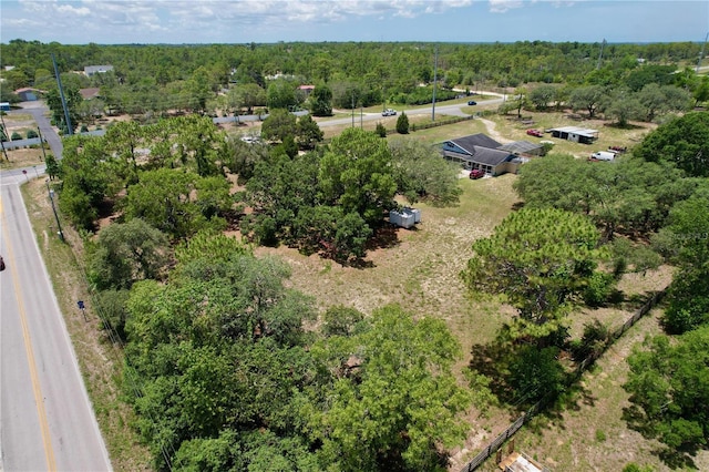 13341 Hexam Rd, Weeki Wachee, FL 34613 - view of property location featuring a heavily wooded area