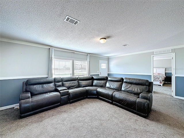 8851 C 469, Center Hill, FL 33514 - living area featuring carpet floors and a textured ceiling