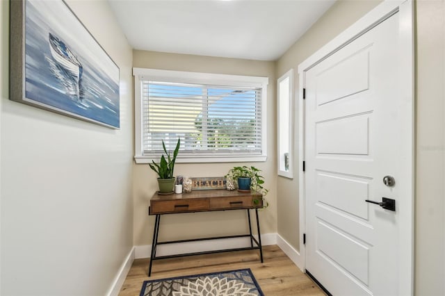 1529 Essex Dr N, Saint Petersburg, FL 33710 - entryway featuring light wood-style flooring and baseboards