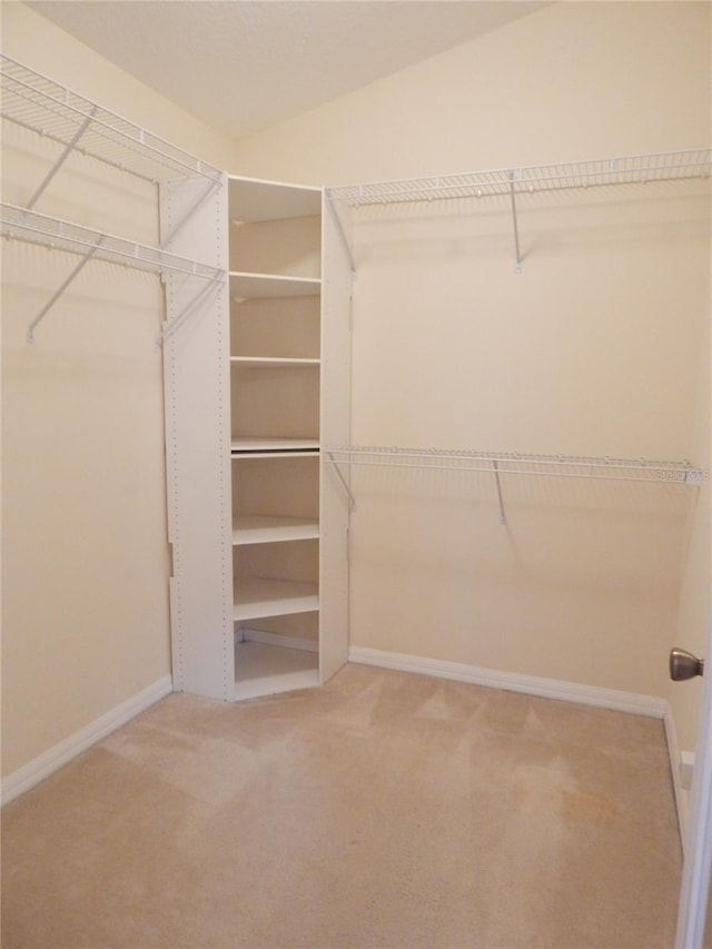 5815 Heronview Crescent Dr, Lithia, FL 33547 - walk in closet featuring carpet