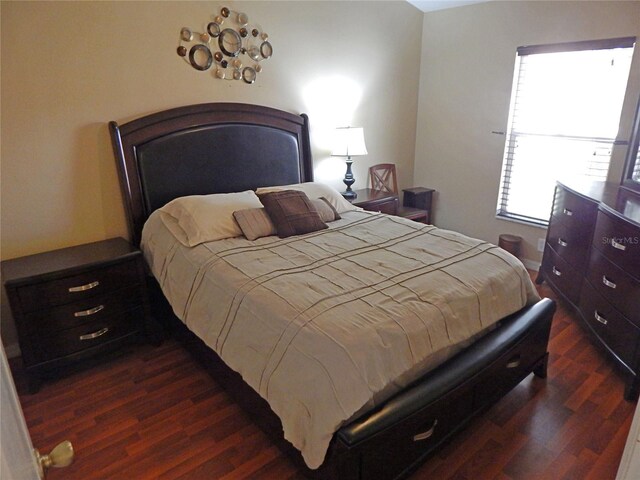 5815 Heronview Crescent Dr, Lithia, FL 33547 - bedroom featuring dark wood finished floors