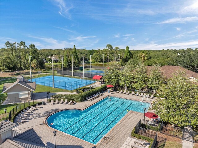5815 Heronview Crescent Dr, Lithia, FL 33547 - community pool featuring a tennis court