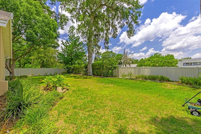 2921 SE 38th Pl, Ocala, FL 34480 - view of fenced backyard