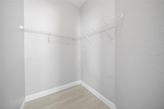 11363 Cocoa Beach Dr, Riverview, FL 33569 - walk in closet with light wood-style flooring