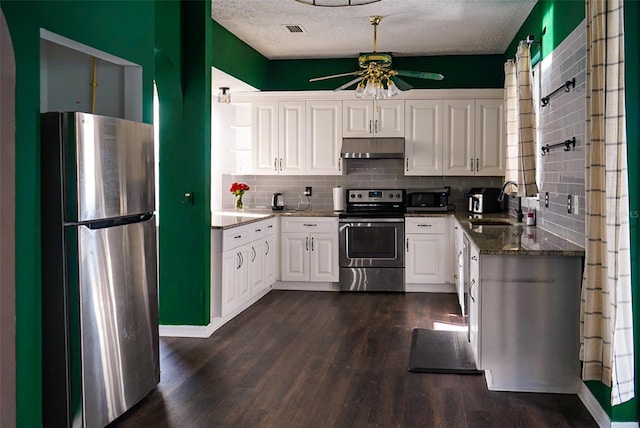 1204 Rinkfield Pl, Brandon, FL 33511 - kitchen with appliances with stainless steel finishes, under cabinet range hood, a sink, a ceiling fan, and tasteful backsplash