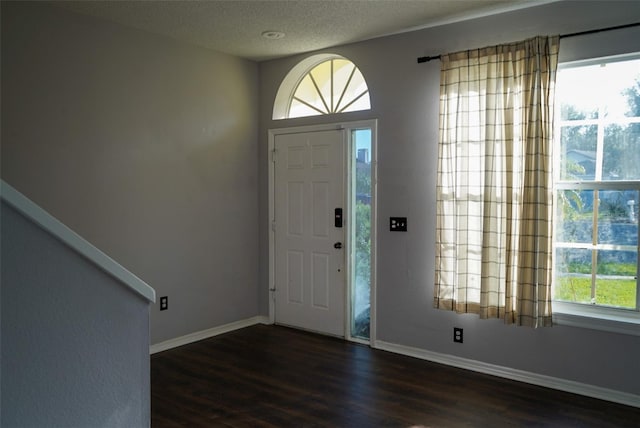 1204 Rinkfield Pl, Brandon, FL 33511 - entryway featuring dark wood-style floors, a textured ceiling, plenty of natural light, and baseboards