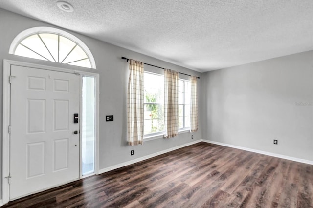 1204 Rinkfield Pl, Brandon, FL 33511 - entryway with a textured ceiling, healthy amount of natural light, and dark wood finished floors