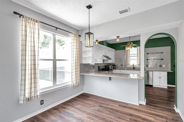 1204 Rinkfield Pl, Brandon, FL 33511 - kitchen with stainless steel dishwasher, range with electric cooktop, a peninsula, plenty of natural light, and a textured ceiling