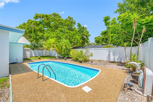 1211 Stony Brook Ln, Dunedin, FL 34698 - view of pool with a fenced backyard