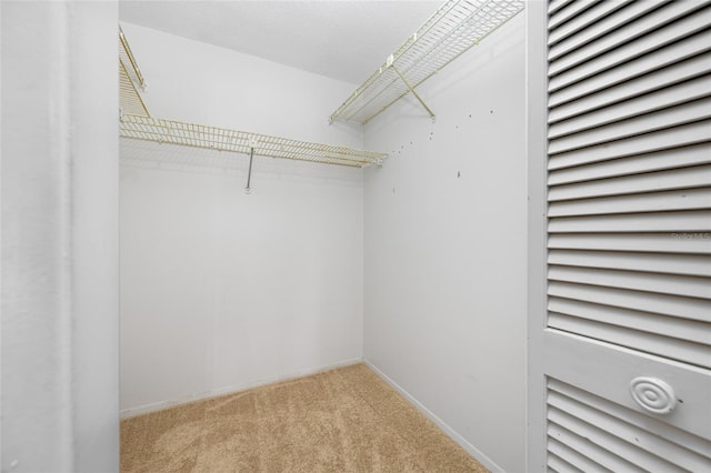 1211 Stony Brook Ln, Dunedin, FL 34698 - spacious closet with carpet flooring