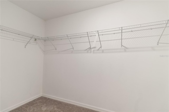 6180 Spring Crayfish Ave, New Port Richey, FL 34653 - walk in closet featuring carpet