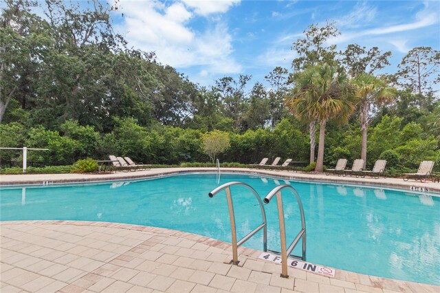 6180 Spring Crayfish Ave, New Port Richey, FL 34653 - community pool featuring view of wooded area and a patio area