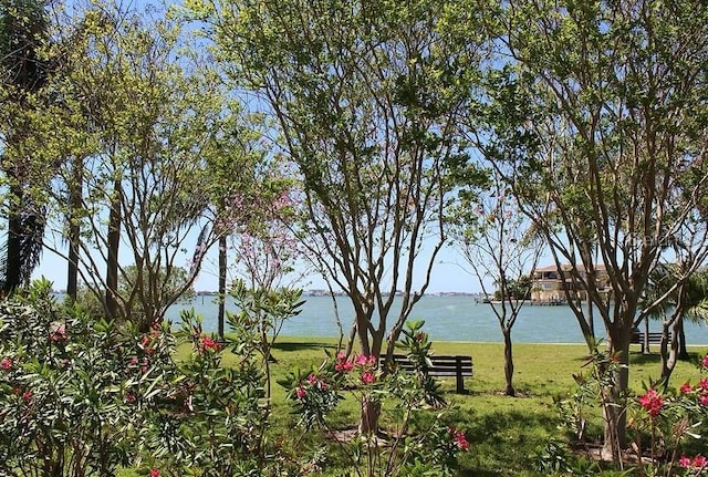 6075 Shore Blvd S Unit 215, Gulfport, FL 33707 - water view