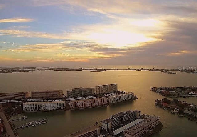 6075 Shore Blvd S Unit 215, Gulfport, FL 33707 - water view with numerous boat docks