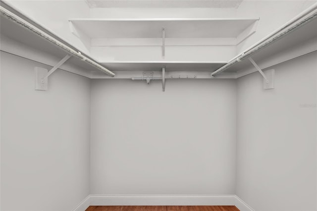 6075 Shore Blvd S Unit 215, Gulfport, FL 33707 - spacious closet with wood finished floors