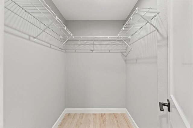 4012 Marine Pkwy, New Port Richey, FL 34652 - walk in closet with wood finished floors
