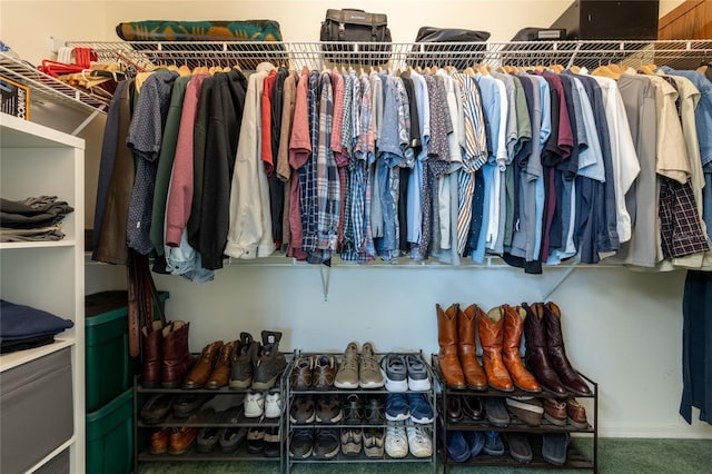2024 Glen Forge St, Brandon, FL 33511 - view of spacious closet