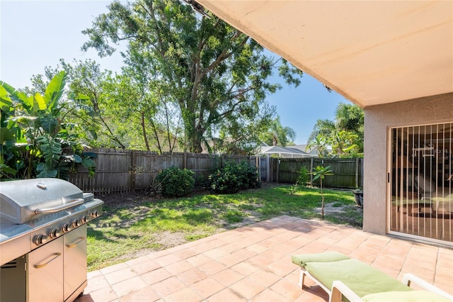 2024 Glen Forge St, Brandon, FL 33511 - fenced backyard featuring a patio area and area for grilling
