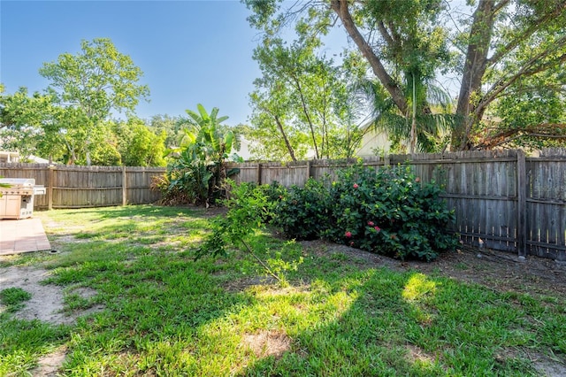 2024 Glen Forge St, Brandon, FL 33511 - view of yard
