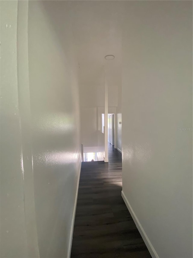 8708 Cobbler Pl, Tampa, FL 33615 - hallway with baseboards and dark wood-style flooring